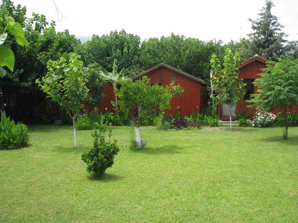 Alibaba Pension Cirali Olympos
