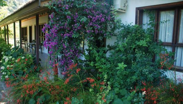 Cirali Dolunay