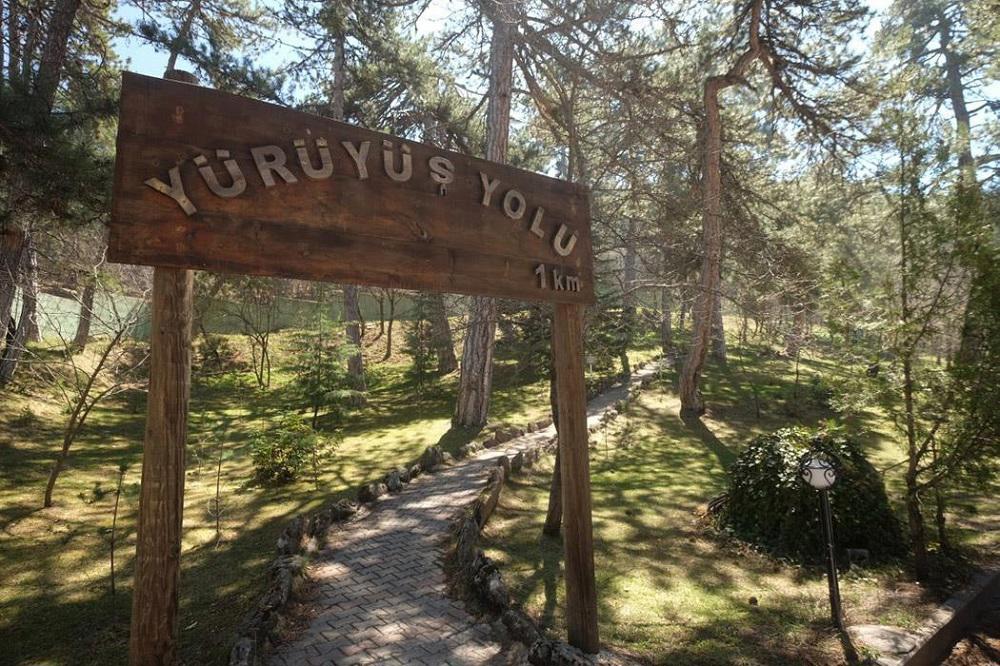Patalya Thermal Resort Hotel