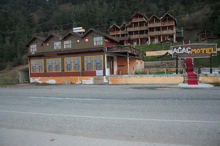Ağaç Motel