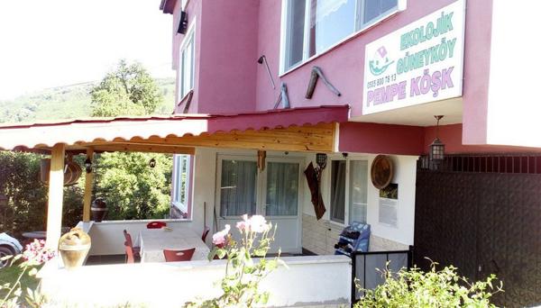 Ekolojik Güney Koy Pembe Köşk