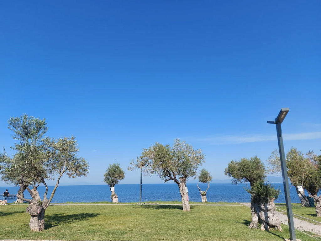 Thassos Apart Otel