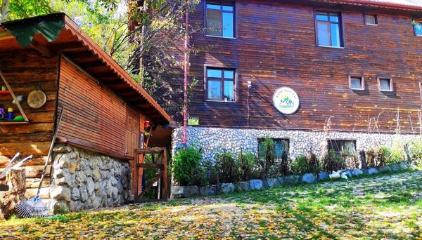 Küre Dağ Evi