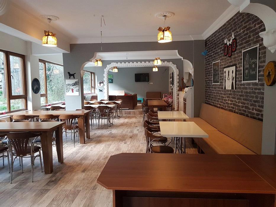Küre Dağ Evi