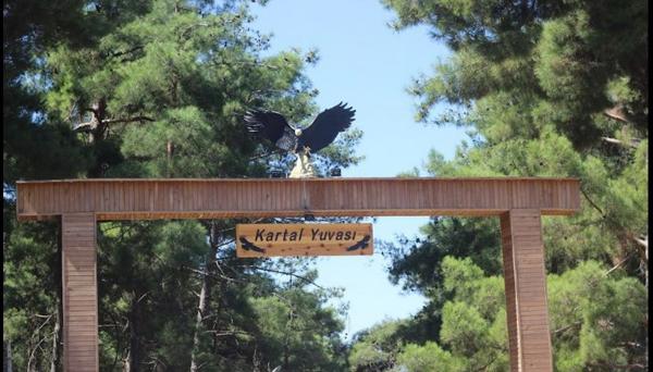 Kartal Yuvasi