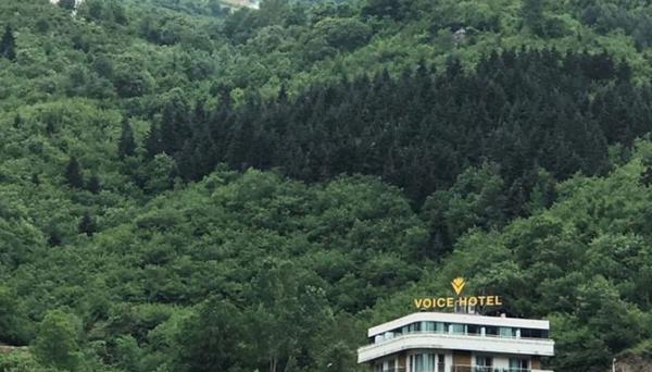Voice Hotel
