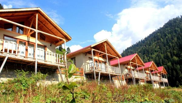 Ayder Çise Dağ Evleri