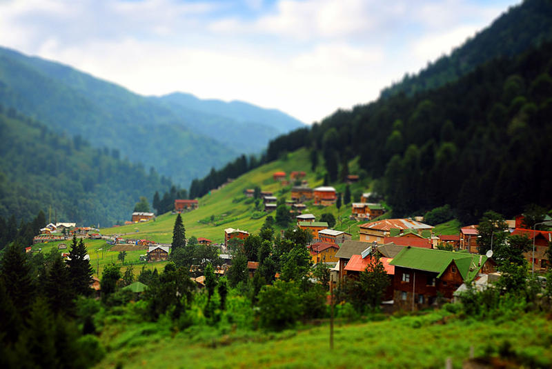 Ayder Şimşir Butik Otel