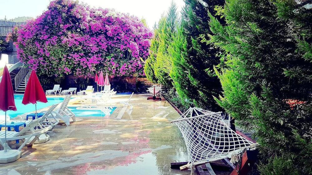 Silver Pine Hotel (Alkolsüz)