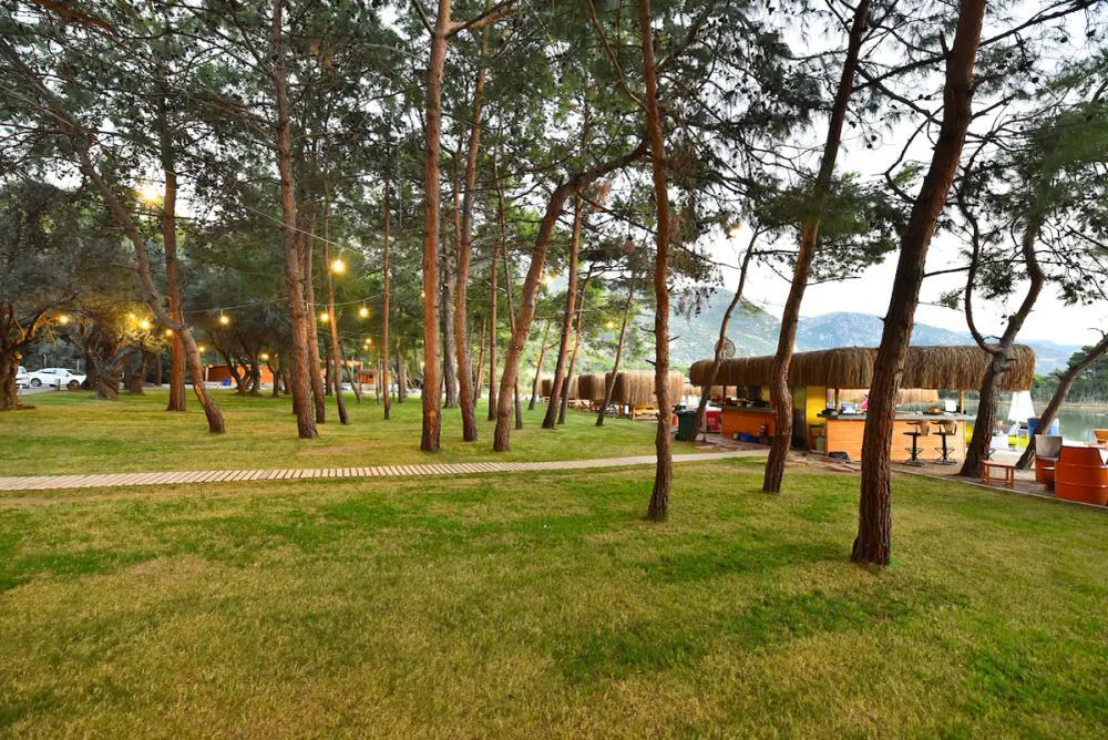 Green Pine Beach