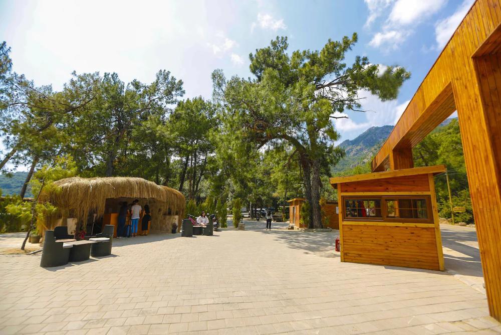 Green Pine Beach