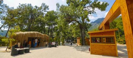 Green Pine Beach