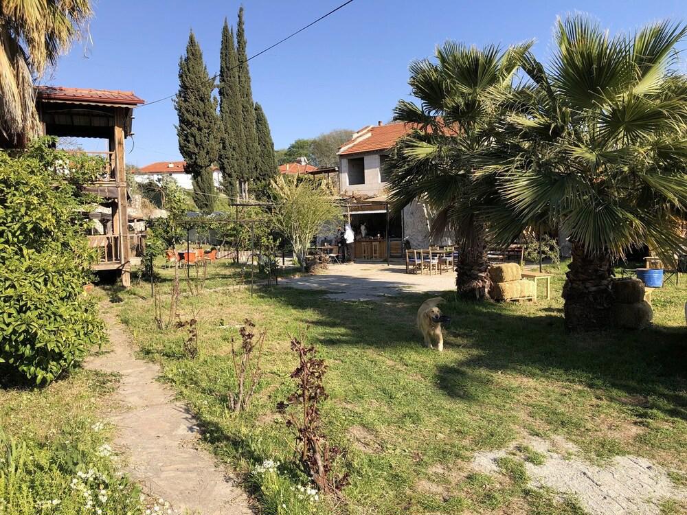 Zirkon Doğa Butik Otel