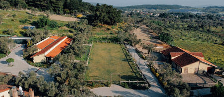 Manej Urla