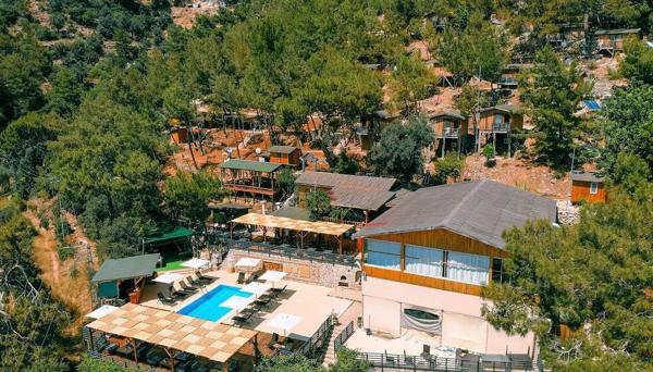 Tree Houses Kabak