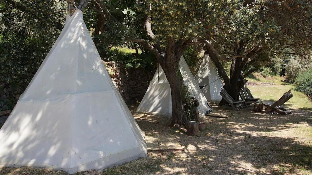 Shiva Camp