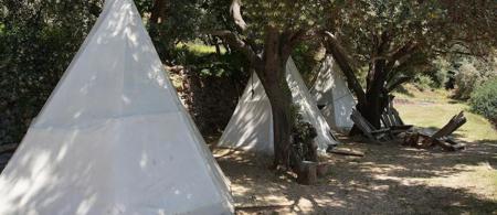 Shiva Camp