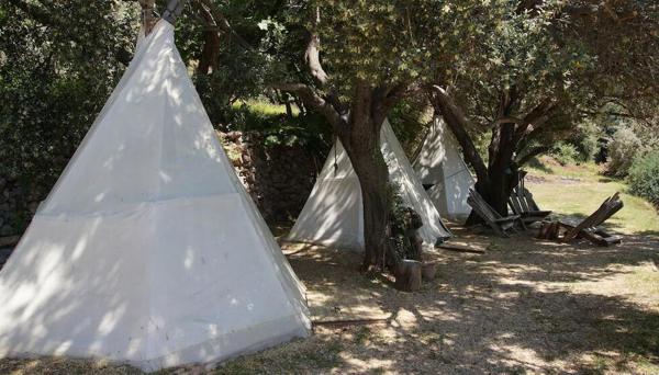 Shiva Camp