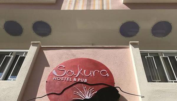 Sakura Hostel & Pub
