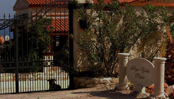 Likya Yolu Palas Hotel