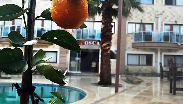 Bodrum Oscar Hotel