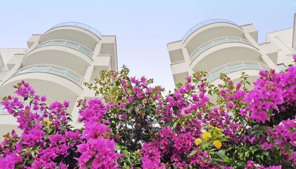 White Pearl Alanya