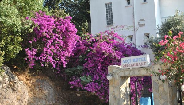 Gümüslük Ayçi Otel