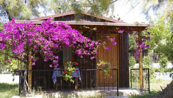 Arriba Apart Restaurant