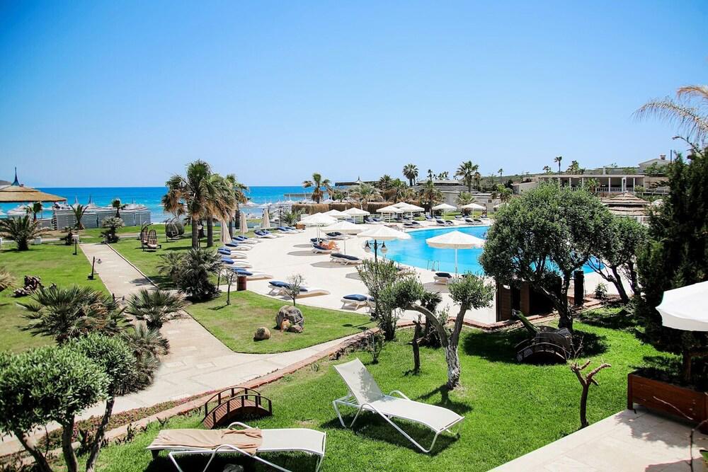 Cocos The Club Solto