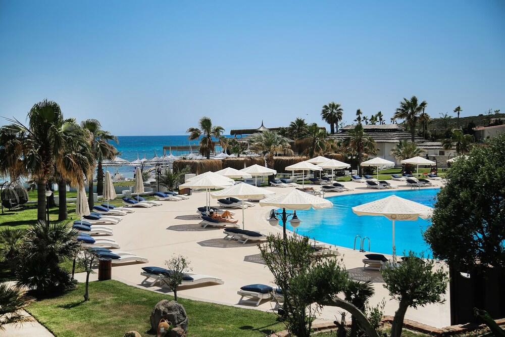 Cocos The Club Solto