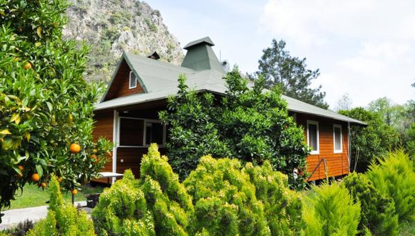 Arcadia Villas
