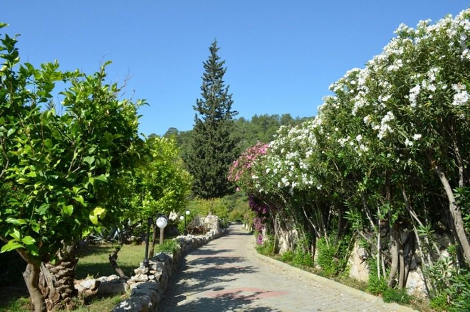 Paradise Garden Hotel