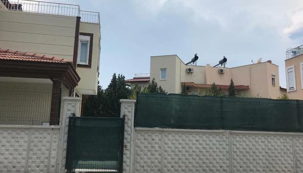 Sade Villa Tatil Evleri