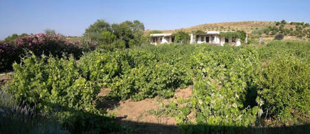 Bağbadem Tatil Çiftliği