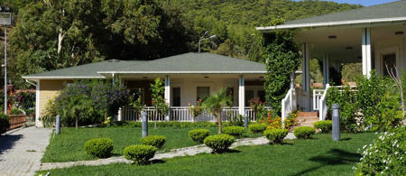 Padok Premium Hotel & Stables
