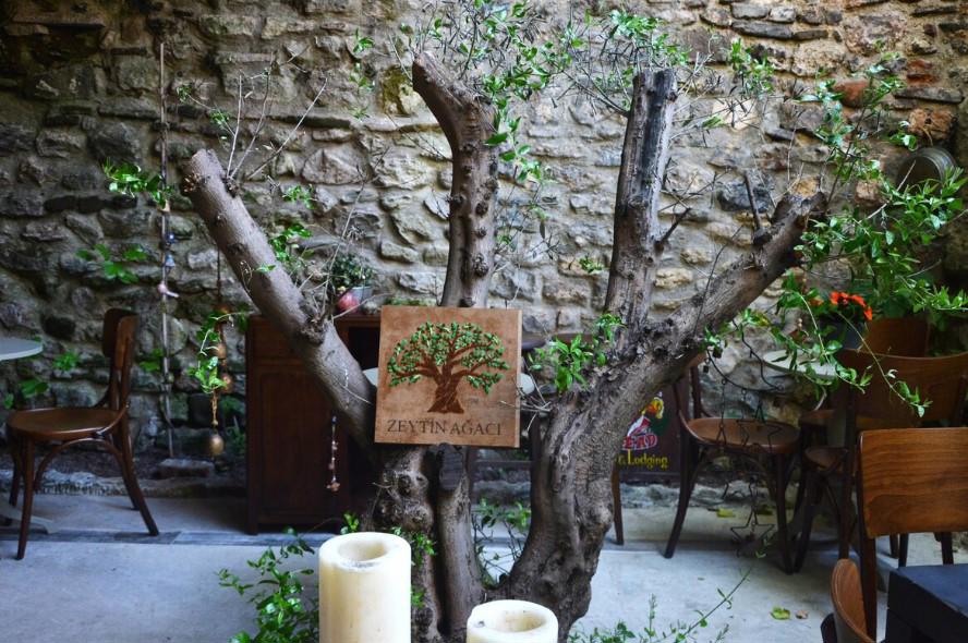 Zeytin Ağacı Hotel