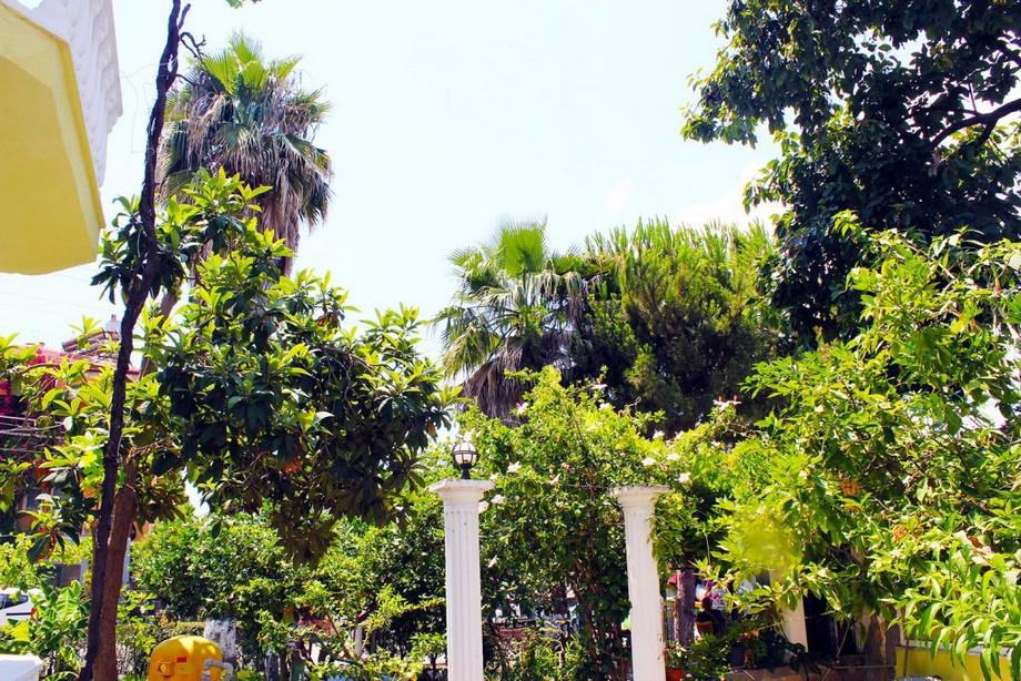 Limon Hotel
