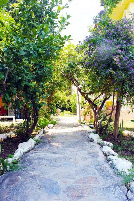 Limon Hotel