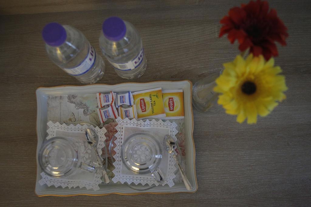 Puffin Suites & Rooms