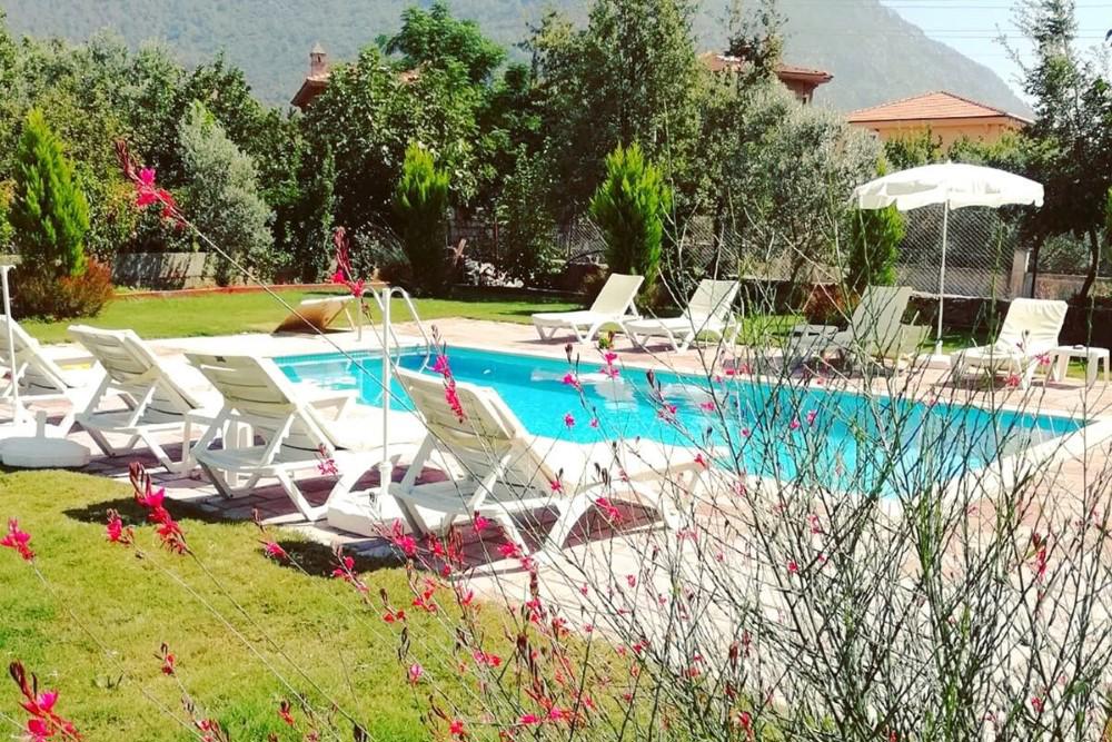 Sureyya Hotel