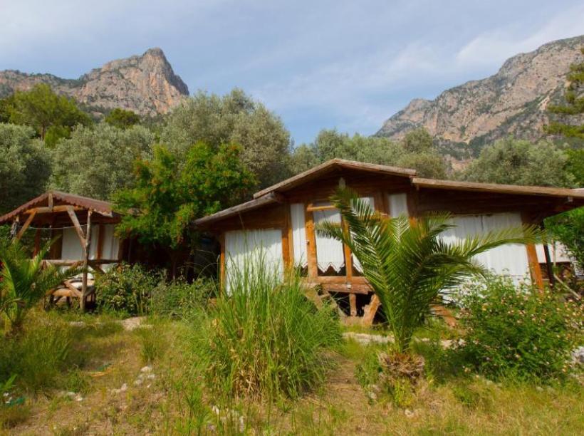 Kabak Natural Life