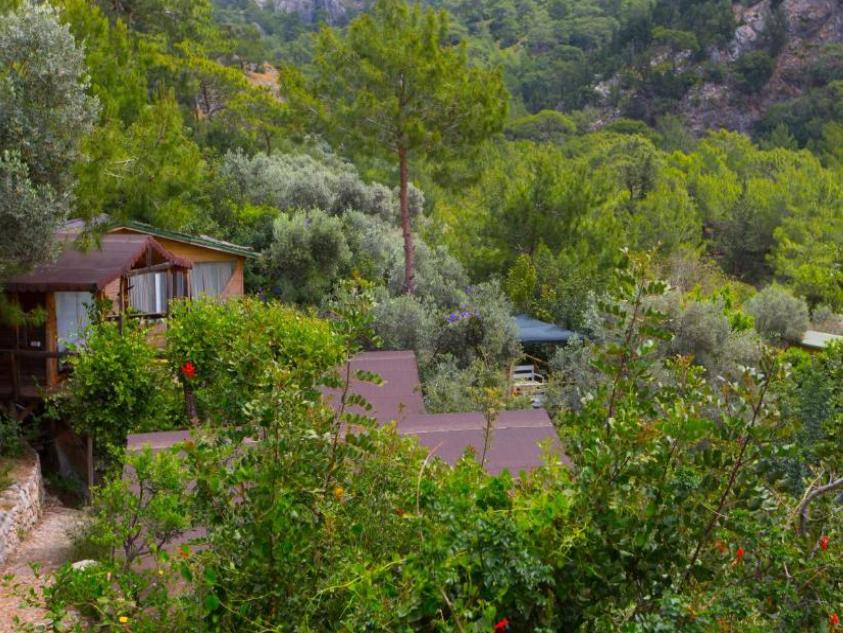 Kabak Natural Life