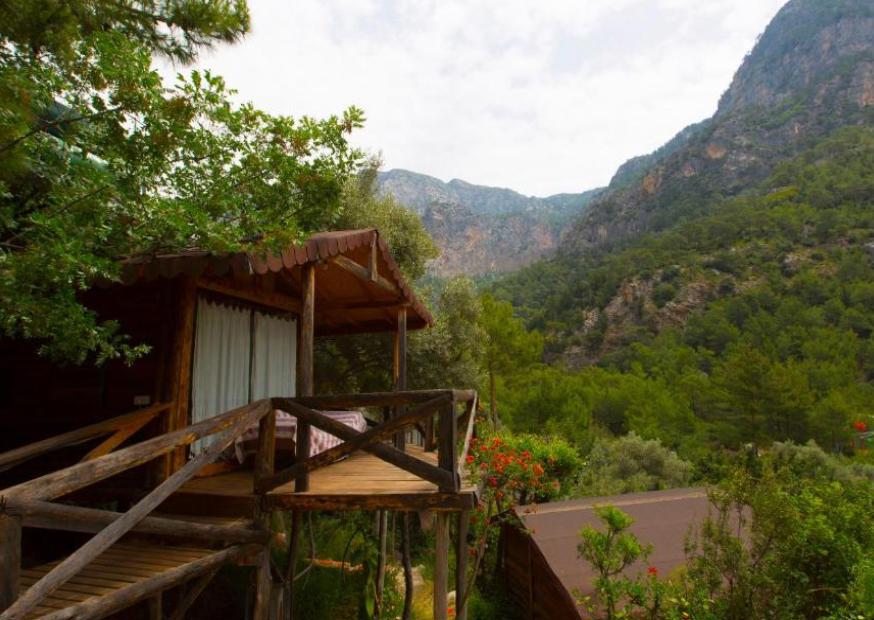 Kabak Natural Life
