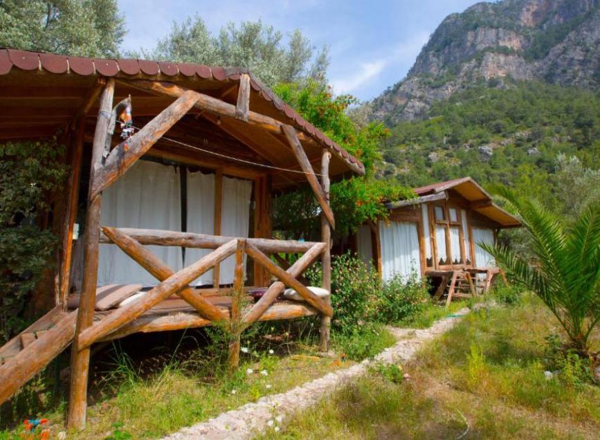 Kabak Natural Life