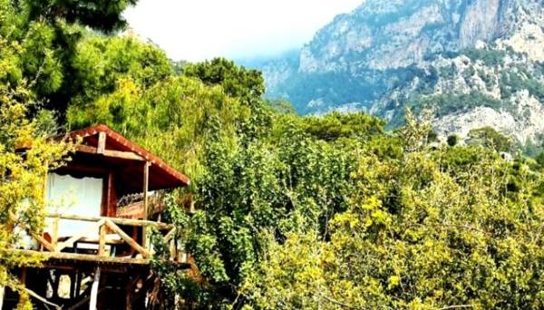 Kabak Natural Life