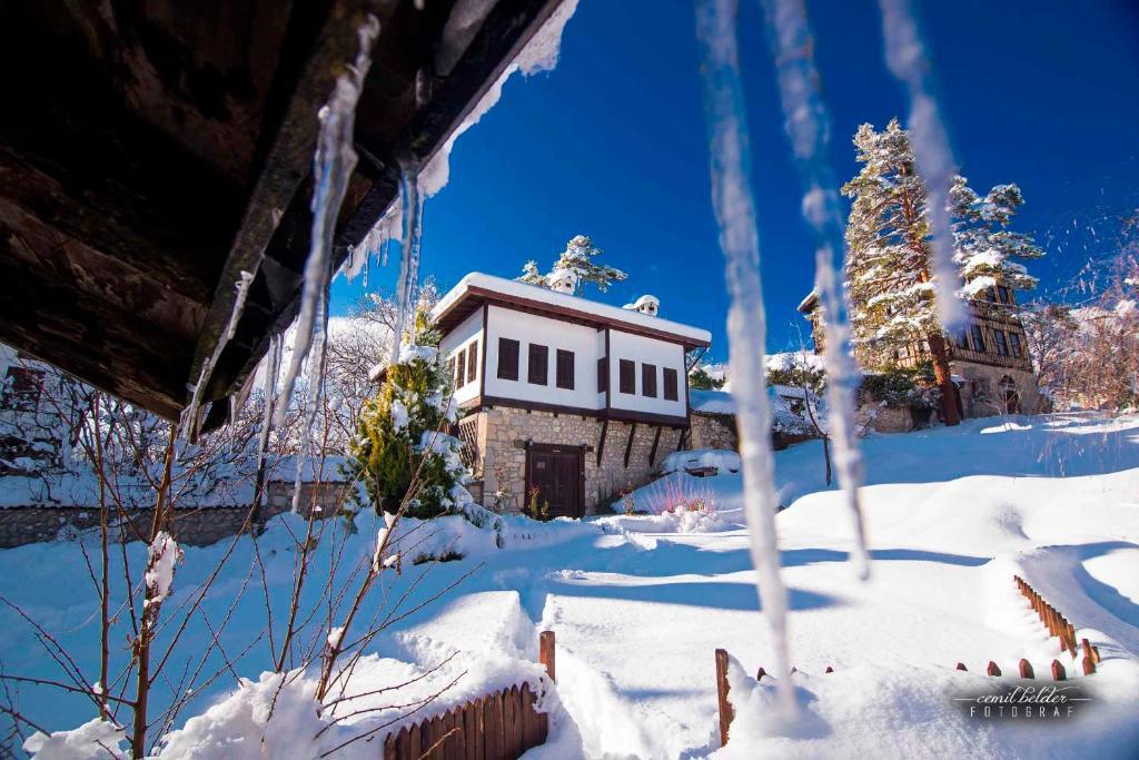 Bağlar Saray