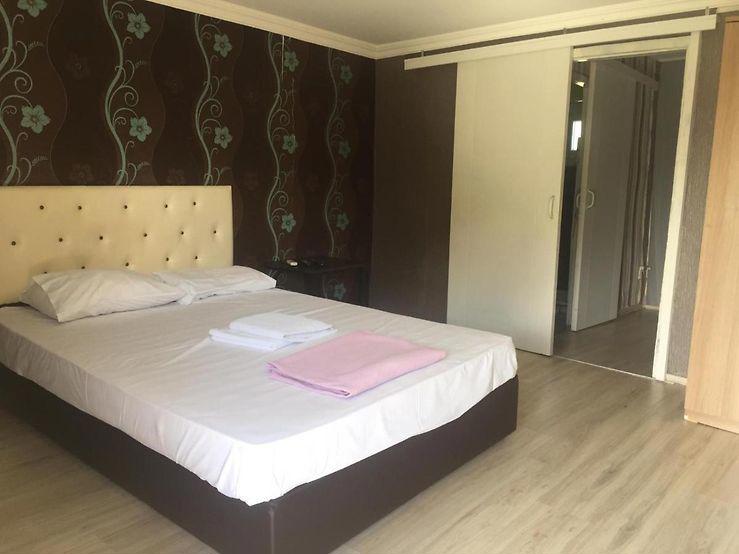 Live Asist Beach Canli Orman