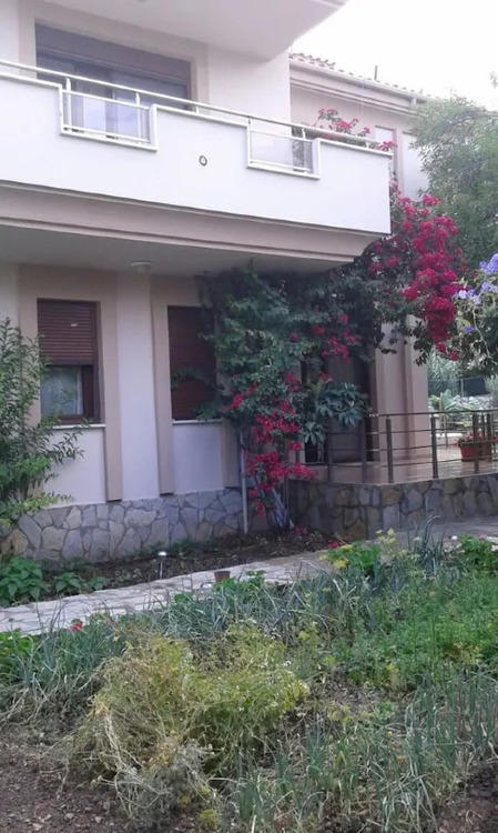 Fit'art Saranda Evleri