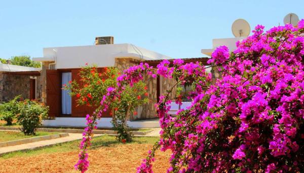 Karpasia Nature Eco Guest House