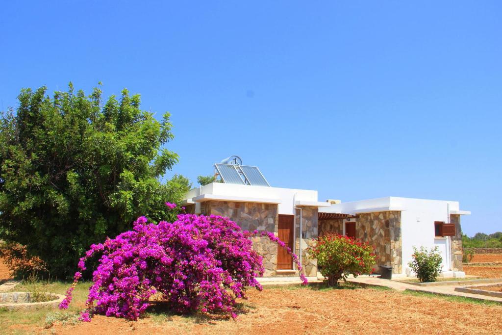 Karpasia Nature Eco Guest House